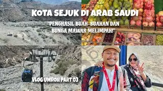 KOTA THAIF MAKKAH | KOTA SEJUK PENGHASIL PERTANIAN BUAH-BUAHAN DAN MAWAR MELIMPAH DI ARAB 