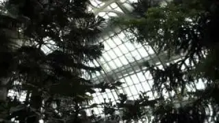 Palmenhaus Schoenbrunn