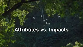 Attributes vs Impacts