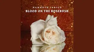Blood on the Rosebush