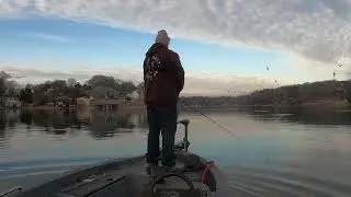 Strike King walking bait so realistic 