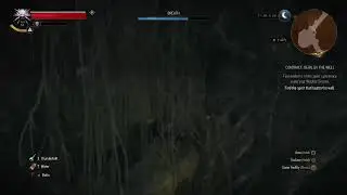 Witcher 3 story walkthrough