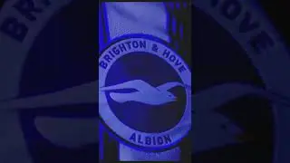 Why Brighton are nicknamed Seagulls