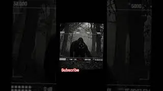 Your new way to experience the paranormal. Signal Network #paranormal #ghosts #haunted