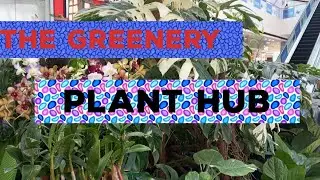 The Greenery Plant Hub at SM Annex Davao