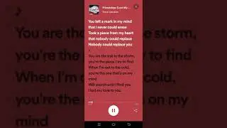 Friendships (Lost My Love) Lyrics - Pascal Letoublon, Leony