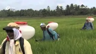 Standard Operating Procedures for ST15 Rice Subsidy Programme to be Streamlined