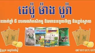 #Khansavin #agriculture #pesticide #mangobag  ការផ្សព្វផ្សាយផលិតផលរបស់ដេប៉ូ ម៉ាងបូរ៉ា