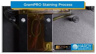 GramPRO1 Gram Staining Process