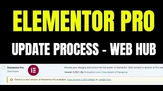 Web Hub Elementor Pro Update Process ⚡️
