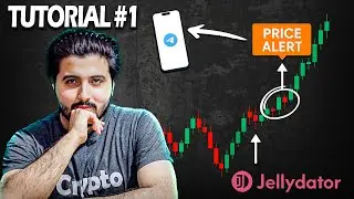 How to Build a Bitcoin Telegram Alert Bot for Price & Twitter Sentiment | Jellydator Tutorial #1