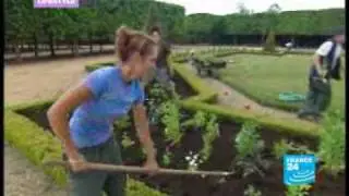 Alain Baraton, Chateau Versailles gardener