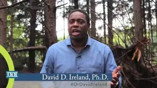 The Fallen Trees In Our Lives - Moments that Impact with Dr. David Ireland