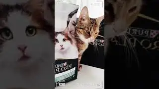 Скажем аллергии 