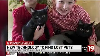 New AI technology helps reunite lost pets with owners faster