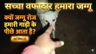 Dog Loyalty Level 💯 &ndash; Jaggu 🐕@Bhanupriyavlogs1176 