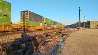 A Unique AC44 Leads Z-G2BRB31!