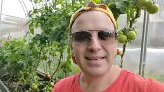 Дневник дачника часть 14