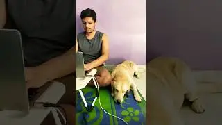 Work From Home #shorts #softwareengineer  #developer  #viral #workfromhome #code_with_pankaj