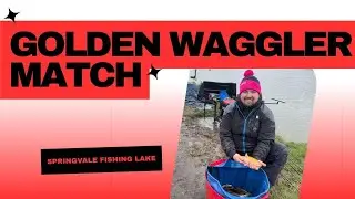 Springvale Newcastle Lake - Did the Golden Tench Equal Golden Ticket! Angling Trust Silverfish Qual