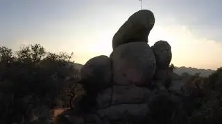 Pedralta
