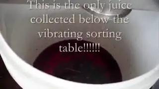Criveller - Perfect sorting: TVD dosing table, Grape Elevator, Estasi destemmer and a Sorting Table