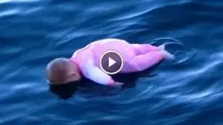 Best Whatever Pranks of 2014