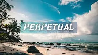 LiQWYD - Hands High (Perpetual Music)