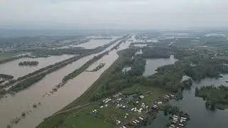 Tak wygląda Olza w powiecie wodzisławskim, 16.09.2024 r.