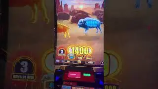 Мы мчимся за деньгами на этом игровом автомате BUFFALO!