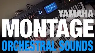 Yamaha Montage Orchestral Sounds Vol.1