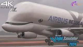 A330 Beluga XL | First Look | MSFS 2024 | 4K