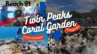 TWIN PEAKS CORAL GARDEN  BEACH