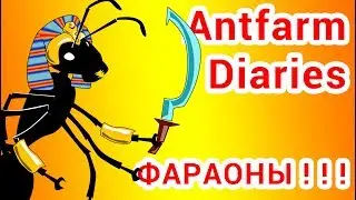 Спешите видеть! Гнездо фараоновых муравьев!!! (Monomorium pharaonis)