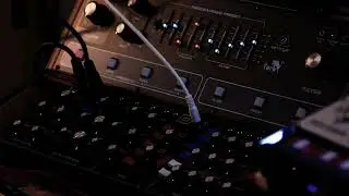 Behringer Toro & Model D sequence