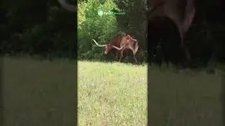 Quand &ccedil;a gratte fort mais que t'es &eacute;quip&eacute; 💪🏻🤣🤣