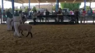 So Cal Fair