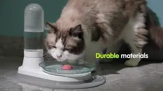 Water fountain for cats!!!!!!!!!!