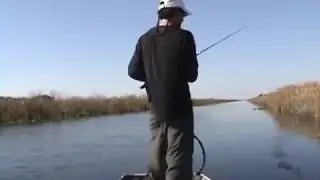 Dzknors@