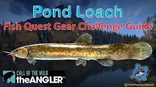 Pond Loach Fish Quest Guide in the Japan Kamuibetsu Reserve in Call of the Wild The Angler.