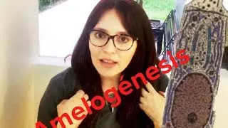 Amelogénesis - Formación del Esmalte Dental