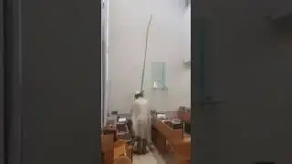לולב מהגבוהים בעולם
