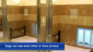 Photo Tour of Becker Animal Hospital Pet Resort