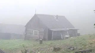 take shelter abandoned log cabin cold autumn night during the rain