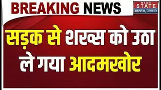 Ramnagar में बाघों का आतंक, सड़क से उठा ले गया आदमखोर, Forest Department ने जारी किया High Alert