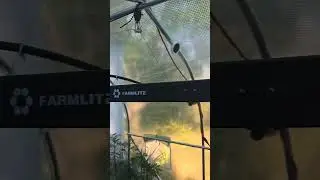 🌿Upgrading the Light Dep Setup!☀️🌱with the budget Farmlite Full Spectrum LED Bar Panel&mdash; 260-watts