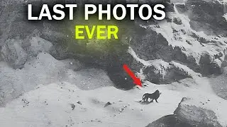 Five Last Photos of Extinct Animals