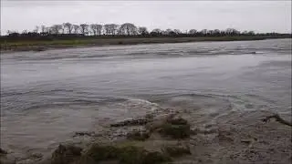The Solway Bore 12th March 2024