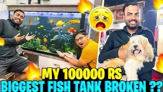 My 100000 Rs Biggest Tank Broken 💔 Cleaning My Fish Tank For First Time