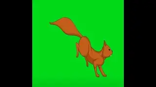 2D ANIMATION OF A SQUIRREL JUMPING GREEN SCREEN #shorts